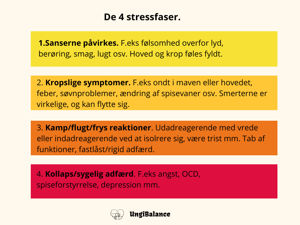 Model over de fire stressfaser